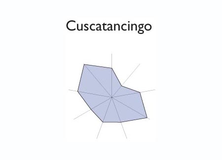 Gr&aacute;fico radial de SAN VICENTE