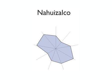 Gr&aacute;fico radial de AYUTUXTEPEQUE