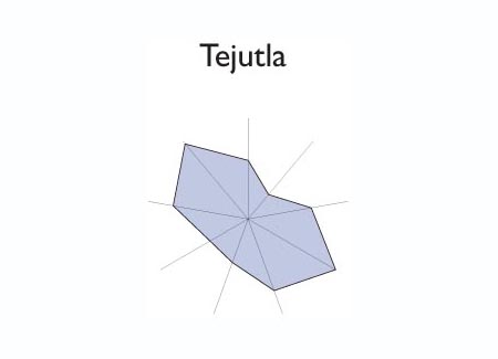 Gr&aacute;fico radial de SANTIAGO NONUALCO