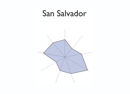 Gr&aacute;fico radial de NUEVA GUADALUPE