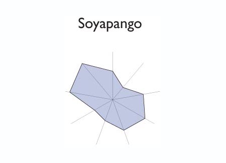 Gr&aacute;fico radial de SAN JUAN NONUALCO