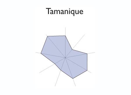 Gr&aacute;fico radial de SAN PEDRO PERULAPAN