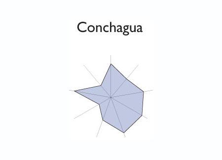 Gr&aacute;fico radial de SAN JULIAN