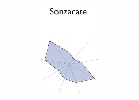 Gr&aacute;fico radial de SANTO TOMAS