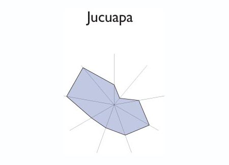 Gr&aacute;fico radial de COLON