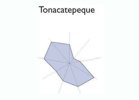 Gr&aacute;fico radial de SAN MARTIN