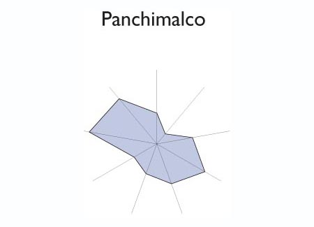 Gr&aacute;fico radial de SAN MARCOS